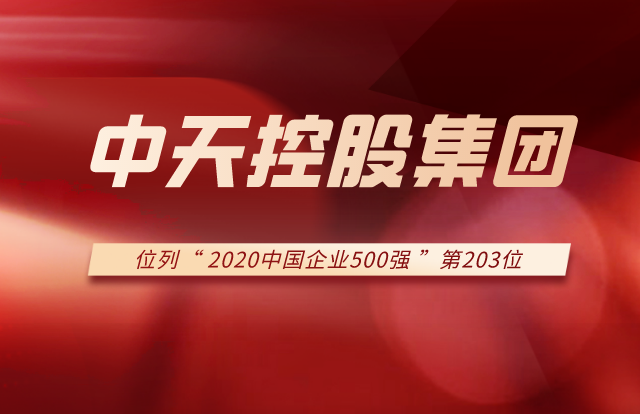 918搏天堂集团列2020中国企业500强第203位！